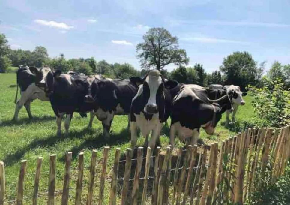 Statige Boerderijwoning Met Vrij Uitzicht En Tuin Villa Hoogzand Luaran gambar